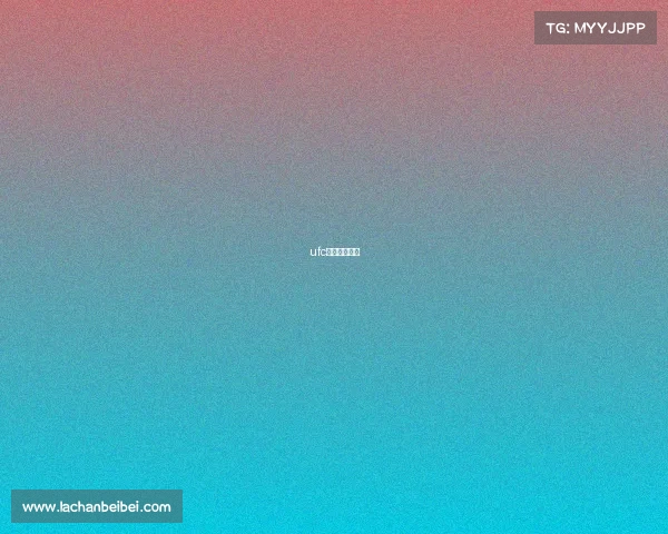 ufc一场比赛奖金