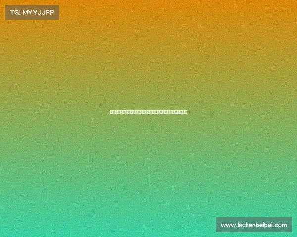 丹麦国家队与波兰国家队欧洲足球锦标赛小组赛关键对决即将精彩上演