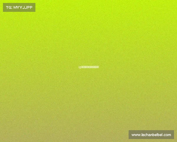 ig电竞战队是属于哪个公司的