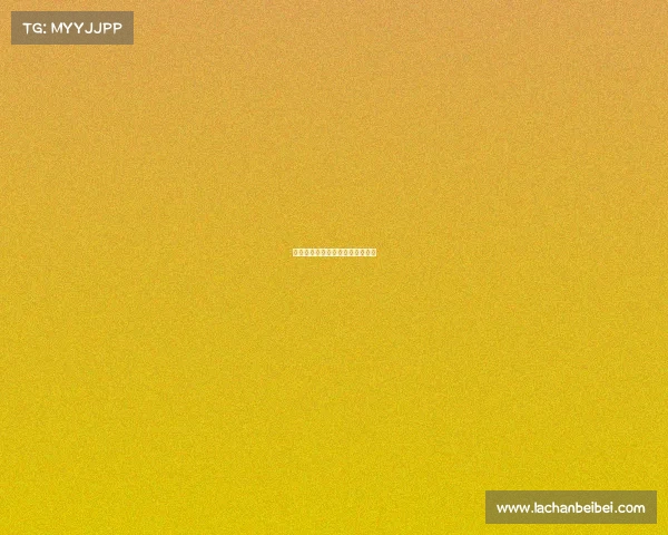 狼群啸聚赛场，全新征程强势开启